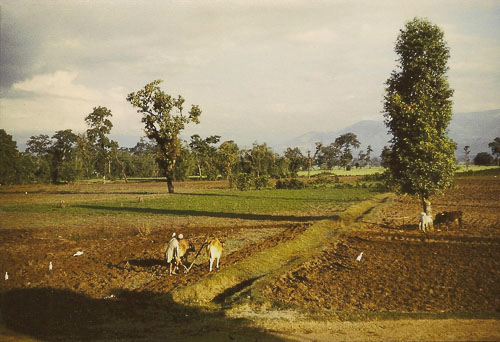 BPrentice007.jpg BPrentice007.jpg