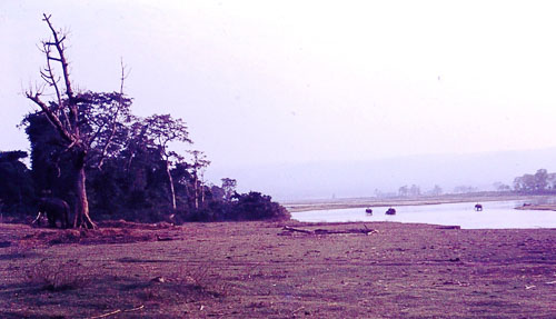 108.jpg 108.jpg