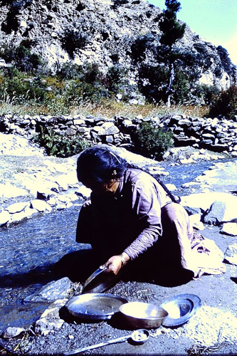 145.jpg 145.jpg
