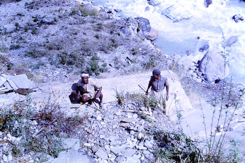 187.jpg 187.jpg
