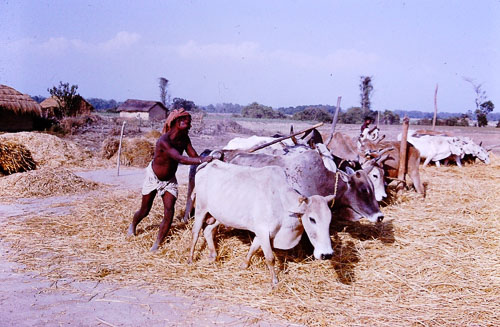191.jpg 191.jpg