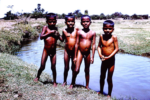 195.jpg 195.jpg