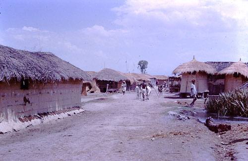 201.jpg 201.jpg