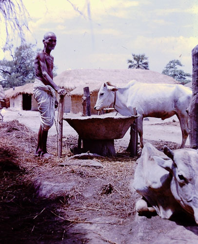 205.jpg 205.jpg
