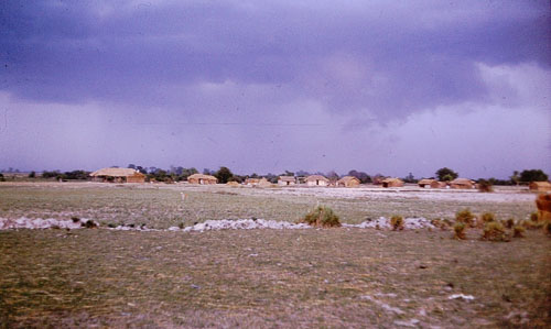 83.jpg