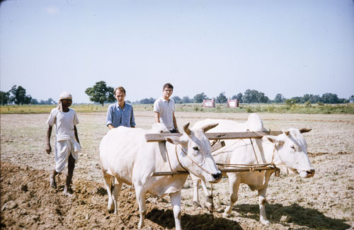 BH_CS000185.jpg