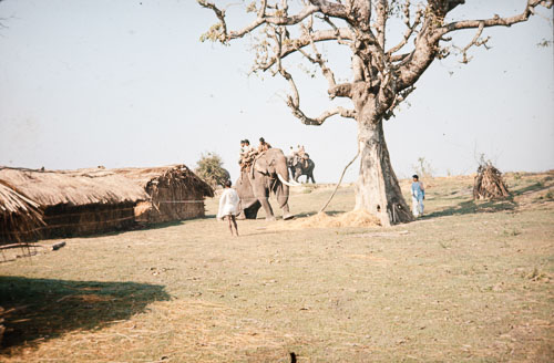 BH_CS000192.jpg