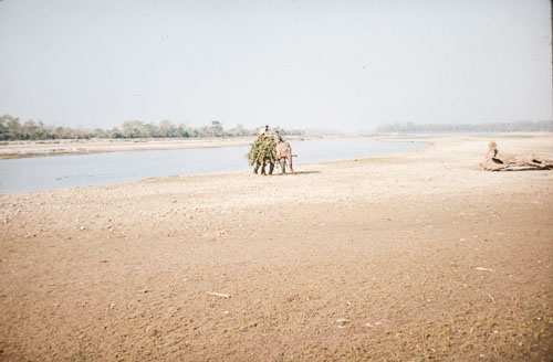 BH_CS000193.jpg
