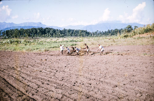 BH_CS000195.jpg