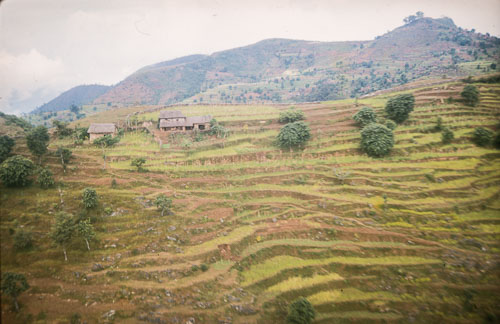 BH_CS000203.jpg