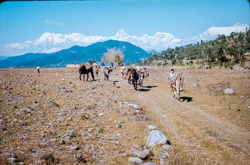 BH_CS000206.jpg