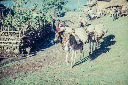 BH_CS000208.jpg