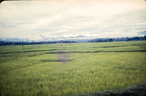 BH_CS000222.jpg
