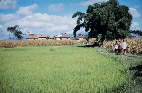 BH_CS000226.jpg BH_CS000226.jpg