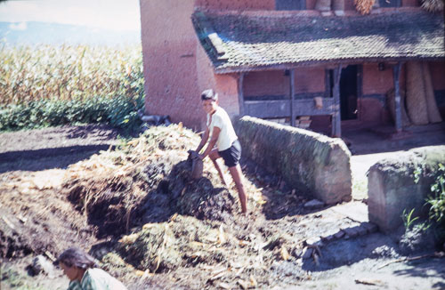 BH_CS000228.jpg BH_CS000228.jpg