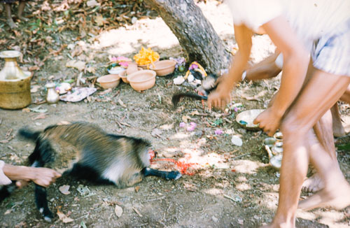 BH_CS000250.jpg BH_CS000250.jpg