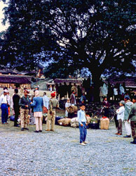BL_003.jpg BL_003.jpg