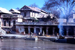 BL_043.jpg BL_043.jpg
