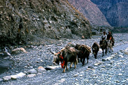 BL_082.jpg BL_082.jpg