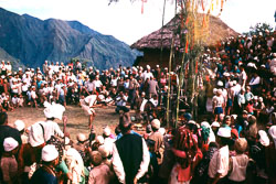 BL_113.jpg BL_113.jpg