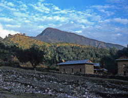 BL_162.jpg BL_162.jpg