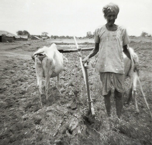 BN_FB000492.jpg BN_FB000492.jpg