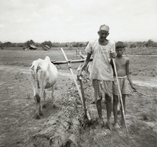 BN_FB000493.jpg BN_FB000493.jpg