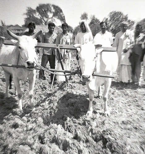 BN_FB000494.jpg BN_FB000494.jpg