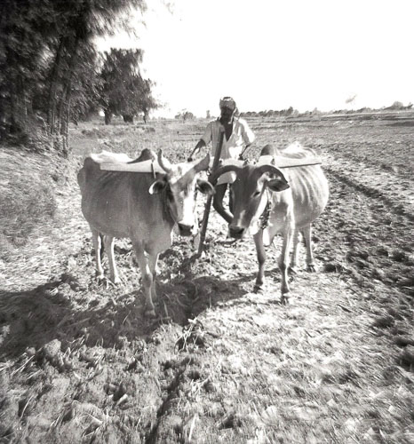 BN_FB000495.jpg BN_FB000495.jpg