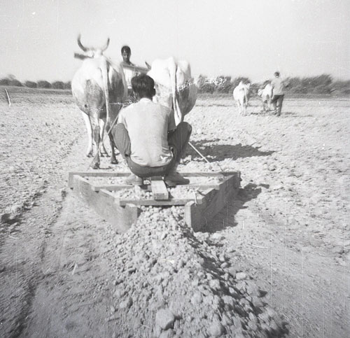 BN_FB000508.jpg BN_FB000508.jpg