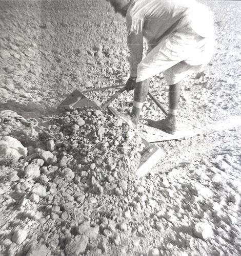 BN_FB000510.jpg BN_FB000510.jpg