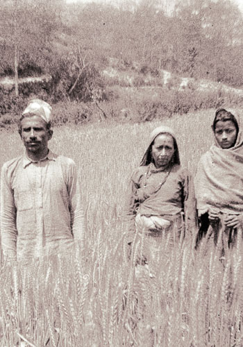 BN_FB000533.jpg BN_FB000533.jpg