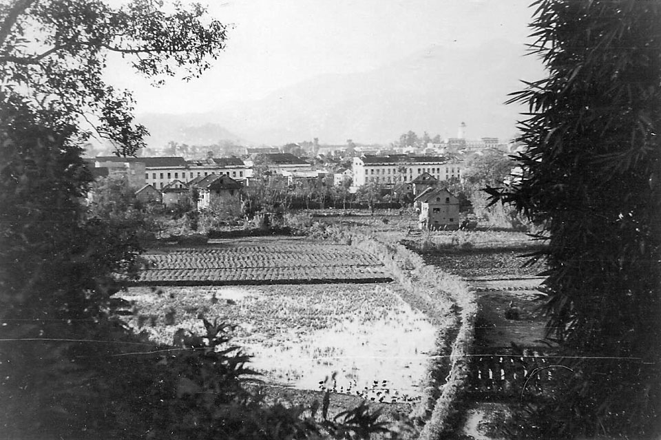 Bob Proctor RoundsImaging Services