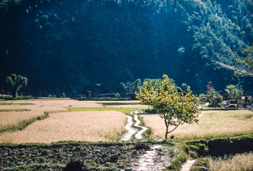 CH_CS000070.jpg CH_CS000070.jpg