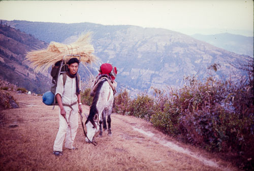 CB_CS00020.jpg CB_CS00020.jpg