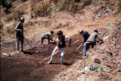 CB_CS00027.jpg CB_CS00027.jpg