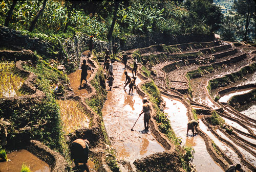 CB_CS00032.jpg CB_CS00032.jpg