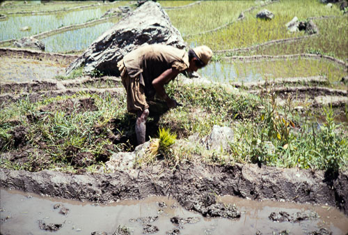 CB_CS00033.jpg CB_CS00033.jpg