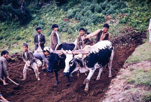 CB_CS00038.jpg CB_CS00038.jpg