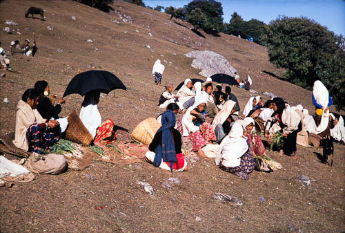 CB_CS00066.jpg CB_CS00066.jpg