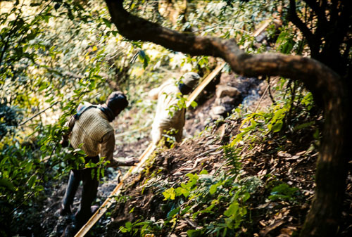 CB_CS00072.jpg CB_CS00072.jpg