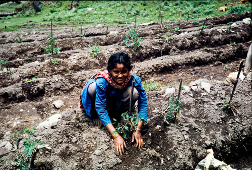 CB_CS00074.jpg CB_CS00074.jpg