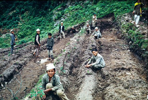 CB_CS00076.jpg CB_CS00076.jpg