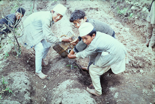 CB_CS00077.jpg CB_CS00077.jpg