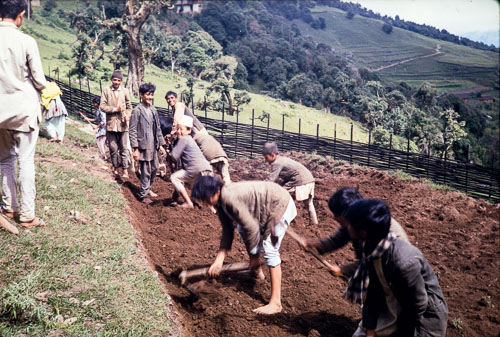 CB_CS00079.jpg CB_CS00079.jpg