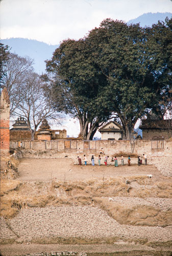 CB_CS00113.jpg