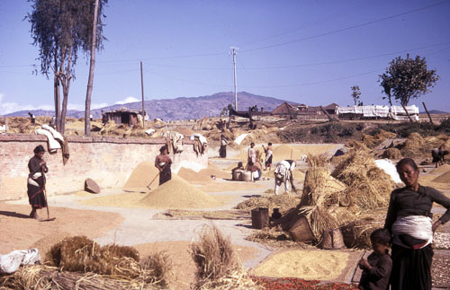 CHebert0042.jpg
