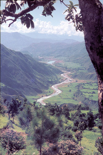 CHebert0108.jpg