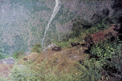 CHebert0112.jpg