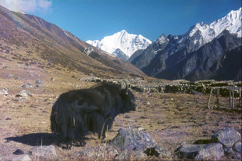 CHebert0123.jpg